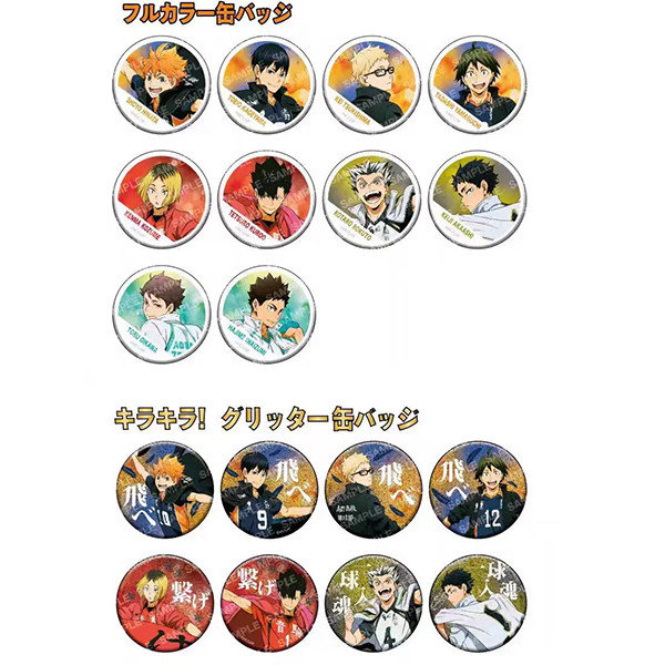 Haikyuu!! Raising the Team Flag Series badge